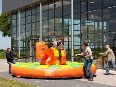 Inflatable Bouncer IB-1